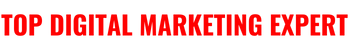 Top Digital Marketing Expert Logo